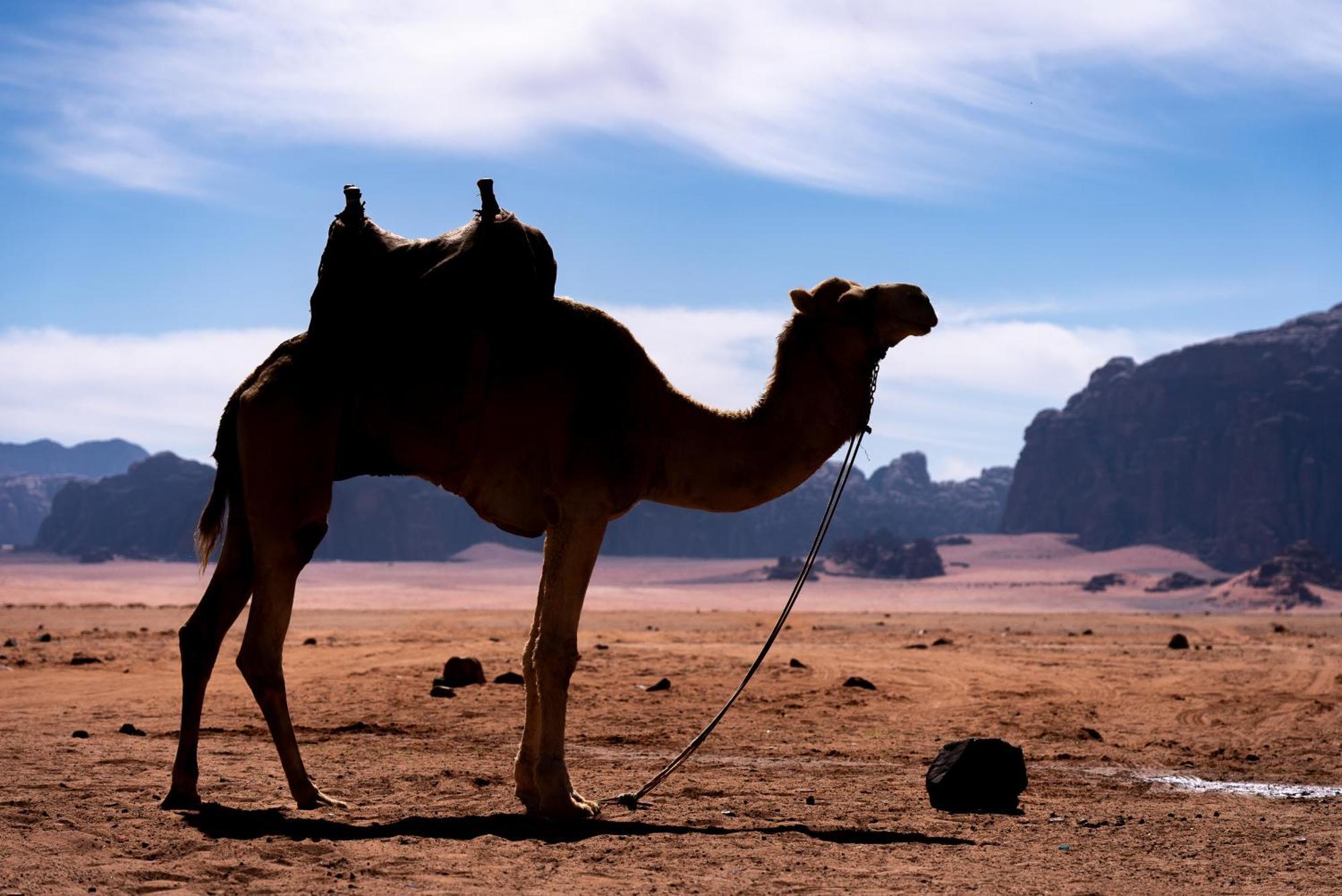 Hotel Oblivion Camp Wadi Rum Exterior foto